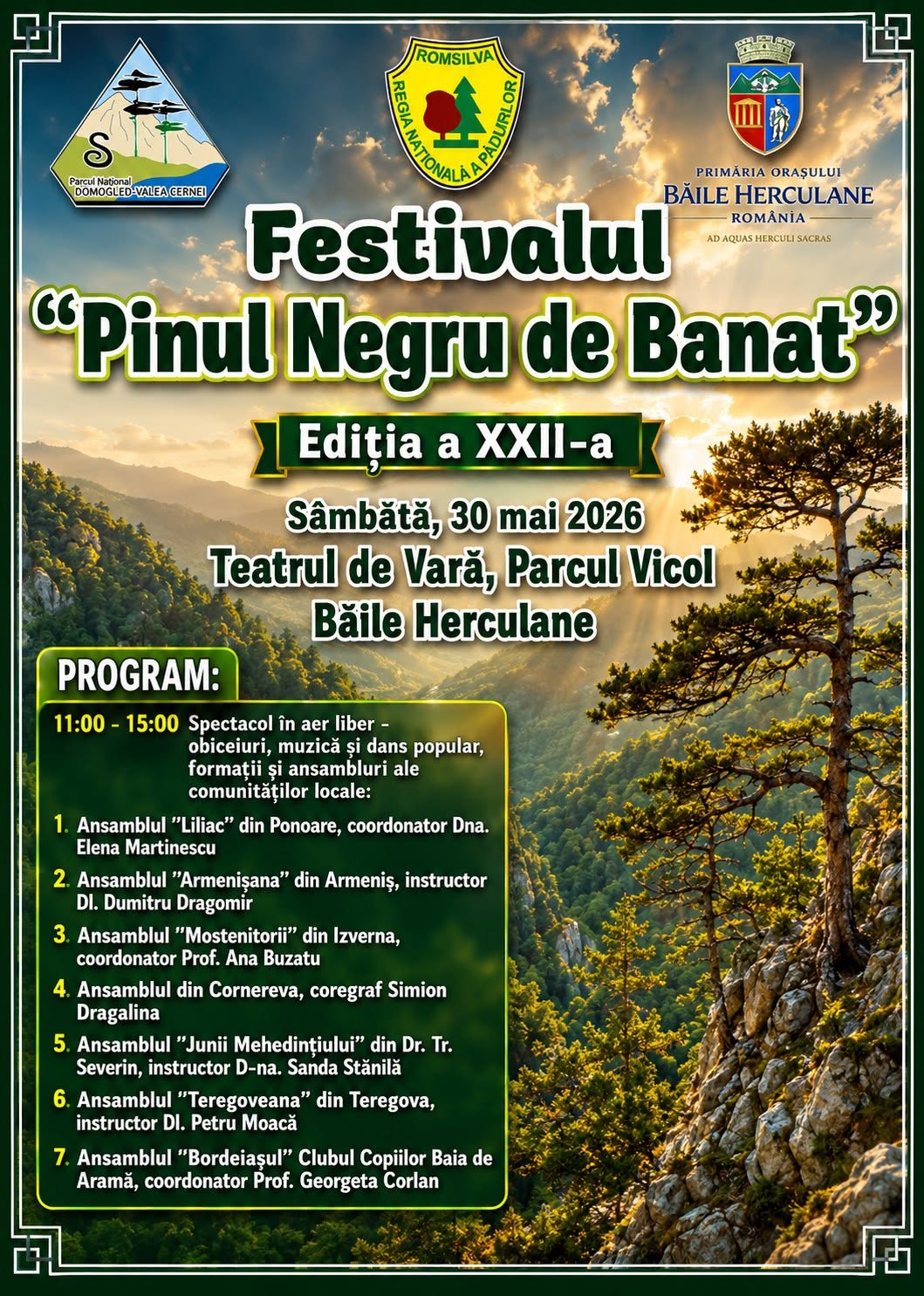 Afișul Festivalului Pinului Negru